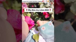 🌷🤍новая.песня. из турецкого сериал
Ашунэнти пэ зорэстэ☺🌸🌷✨