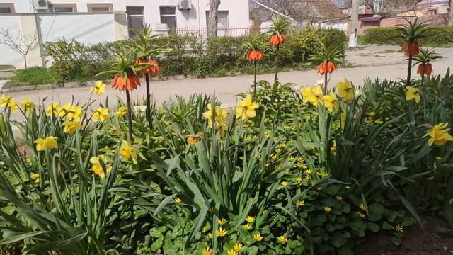 Один из дней города Евпатории | 19 апреля 2021 г | Крым | ХАН БАТОН XAH 6ATOH | VID_20210419_144208 смотреть онлайн