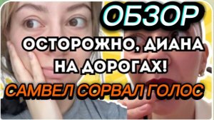 САМВЕЛ АДАМЯН, ОПЯТЬ В ТЕАТР, ОПЯТЬ БОЛЯЧКИ, ЫРОЧКА С ДИВАНКОЙ ВСЕМ НЕДОВОЛЬНЫ, УЖЕ В БУДАПЕШТЕ.