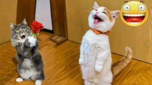 ВИДЕО ПРИКОЛЫ С ЖИВОТНЫМИ СМЕШНЫЕ ЖИВОТНЫЕ😆 Приколы подборка