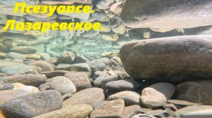 Псезуапсе! Лазаревское.