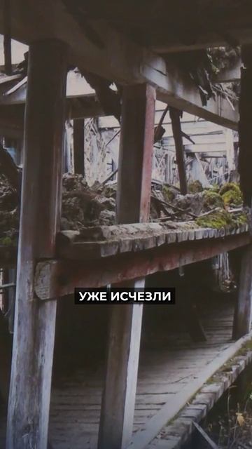 📍В Новом Уренгое открыли выставку об утраченных объектах 501-й стройки #новости #ямал #янао смотреть онлайн