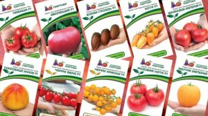 Агрофирма Партнер . Обзор томатов на 2026 сезон