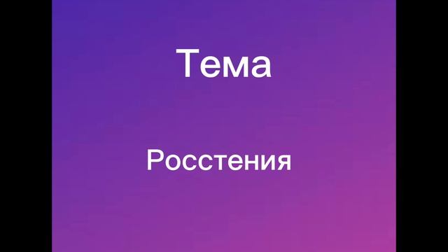 Оформление личного дневника