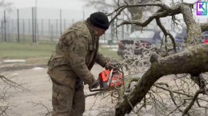 Специалисты службы городского хозяйства продолжают уход за городскими зелёными зонами
