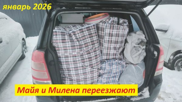 Майя и Милена переезжают