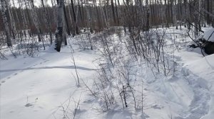 Проверка капканов часть 〽️ 18.