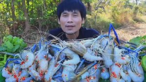 МУКБАНГ Сашими из свежих креветок , Соус и овощи , очень остро и вкусно!