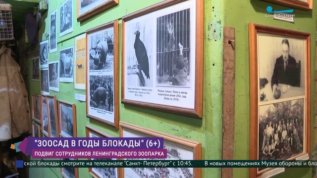 «Зоосад в годы блокады»: подвиг сотрудников Ленинградского зоопарка в время войны