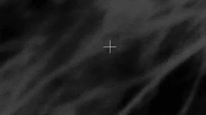 Holosun DRS-TH. 2026.01.03 лиса