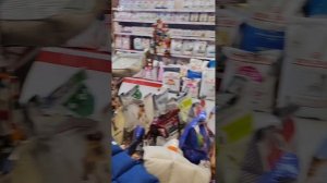 Зашла со Снежком в зоомагазин, а он оказался магазином подписчицы