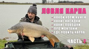 Как ловить много карпа, амура и сазана! Вопрос-ответ Голдобина Александра Часть 2