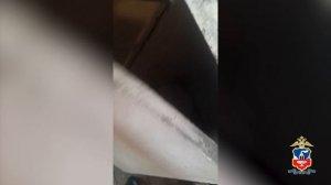 В Алтайском крае полиция уличила 40-летнего жителя Камня-на-Оби в хранении 2,5 кг «дурман-травы»