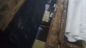 Состояние пчелосемей на конец января .  Зимуем .