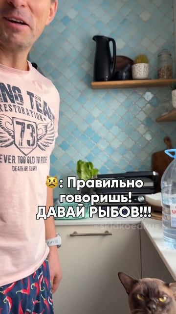 Это что завтрак ? 😾😾❤️