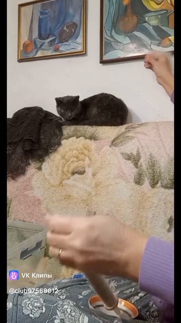 Пряду пуховую пряжу