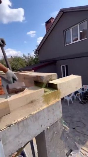 За их деятельностью можно наблюдать бесконечно.