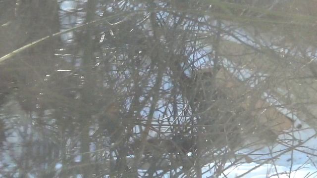 26 января 2026 года -- 15-34 - мусор вывезли, мусор остался .....