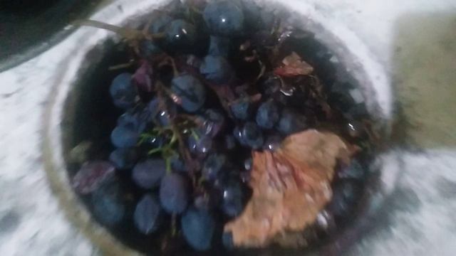 Обрезка винограда и утиль