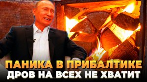 Прибалтика в ШОКЕ - Без России дров не хватит