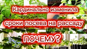 Мои идеальные сроки посева на рассаду 2026. Кардинальные изменения.