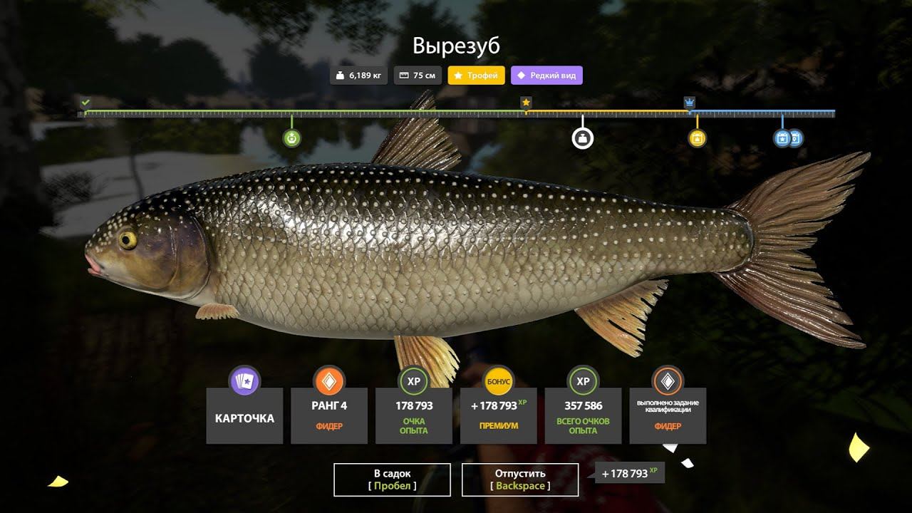 НОВЫЕ РАЗДАЧИ НА АХТУБЕ УСАЧА, ОСЕТРА ФАРМЫ ЛЕЩА ВЫРЕЗУБА СВОДКА ПО ВОДОЕМАМ В РУССКОЙ РЫБАЛКЕ 4 РР4 смотреть онлайн