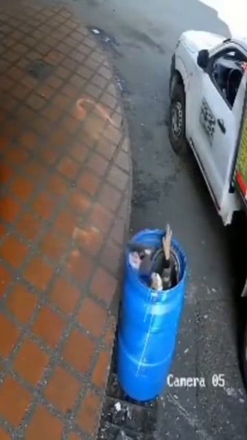 Попалась😂😂😂 смотреть онлайн