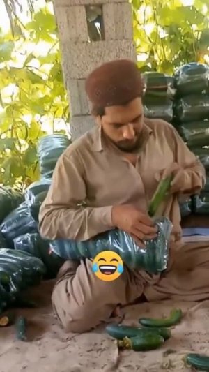 Все пошло не по плану