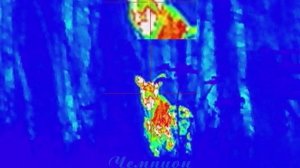 Лоси в прицеле Longot LY650