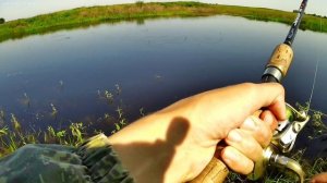 Рыбалка в залитой траве.Ловля на блесну,воблер,джиг.Ловля щуки