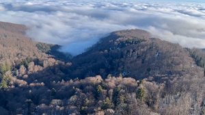 🇭🇷Sljeme. Zagreb. Hrvatska.🇭🇷🇭🇷Гора Слемэ. Загреб. Хорватия 🇭🇷🇭🇷🇭🇷