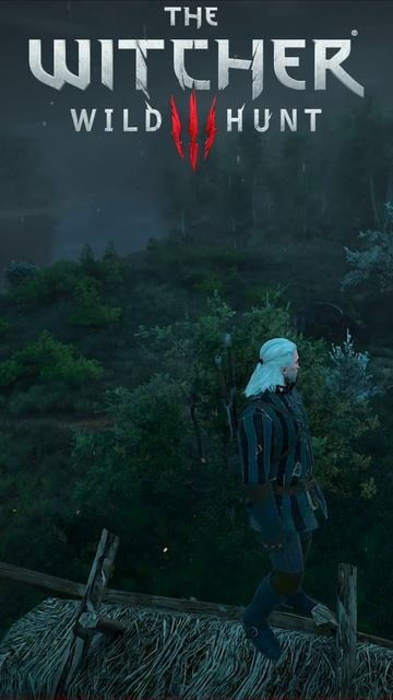 Как ВЕСЕМИР разобрался с МОИМ беспорядком The Witcher 3 Wild Hunt - Game of the Year Edition смотреть онлайн
