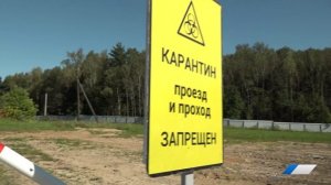 Ситуация под контролем