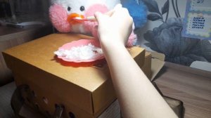 Влог с уточками Лала Фанфан