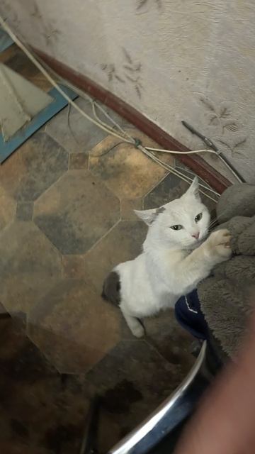 ЛЮДОЕД ТЯНЕТСЯ К ОТЦУ