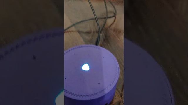 Ам смотреть онлайн