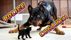 КОГДА ПОЛИЦЕЙСКИЕ СОБАКИ ЗАБЫЛИ, ЧТО ОНИ НА СЛУЖБЕ!