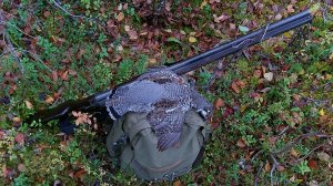 Знакомство с Карелией. Марс атакует. Часть 20