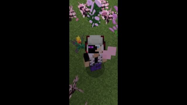 я вернулась