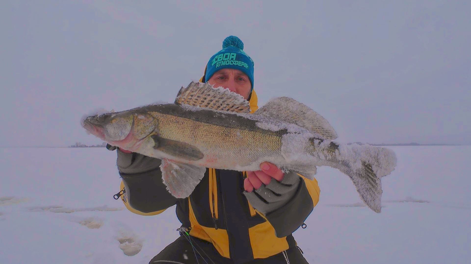Злые поклёвки судака! ОН поймал трофейного СУДАКА мы в ШОКЕ! Зимняя рыбалка на волге ловля на виб. смотреть онлайн