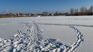 Что купил в дом ! Танцы на Волге! Все про все !