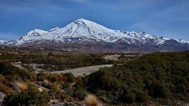 Острова с редкими животными
