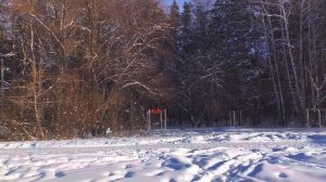 пляж на шершни