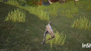 Мир так желток../The cursed dinosaur isle