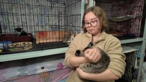 Ищу тебя, хозяин