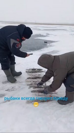 video_11544898461671.mp4