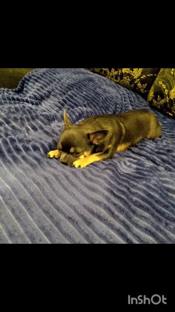 Розины детские фоточки 🐕🌅 смотреть онлайн