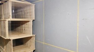 Ваша жизнь уже не будет прежней !!!Сто раз подумайте ,прежде чем заводить пчёл.