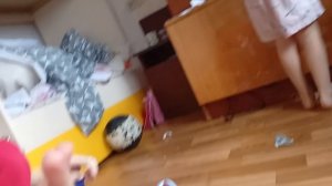 осмотр наград тимонстра