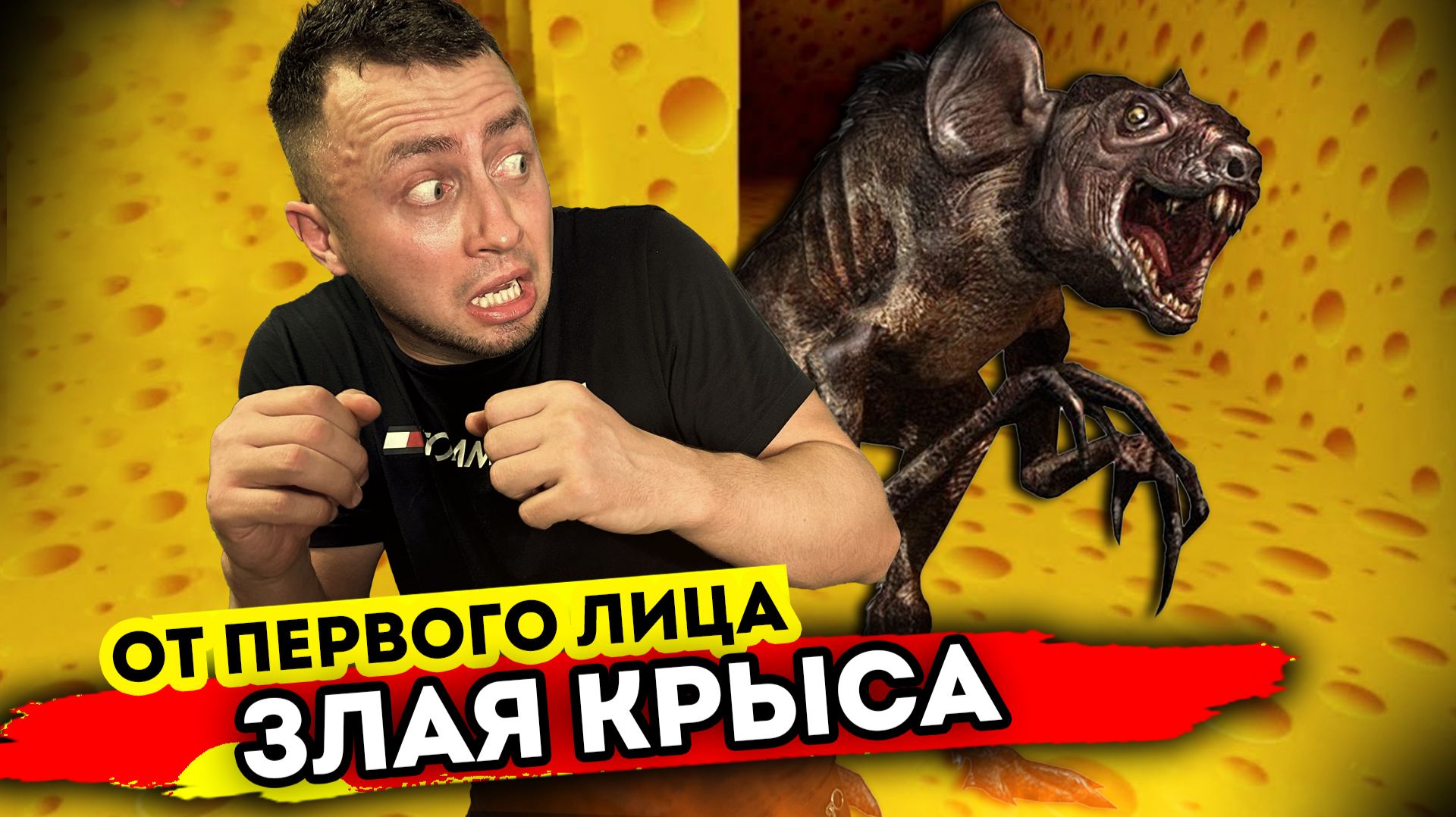 От первого лица: ЗЛАЯ КРЫСА ОХОТИТСЯ ЗА МНОЙ В РЕАЛЬНОЙ ЖИЗНИ смотреть онлайн